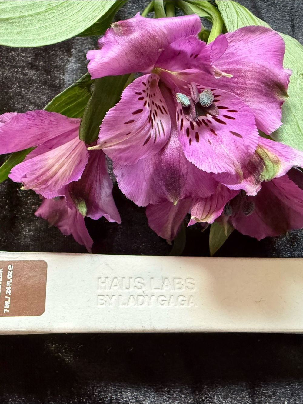 Haus Labs by Lady Gaga Concealer in Shade 53 Deep Neutral